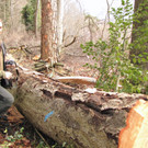 KOE_Wildpark Maerz 2016 1.jpg