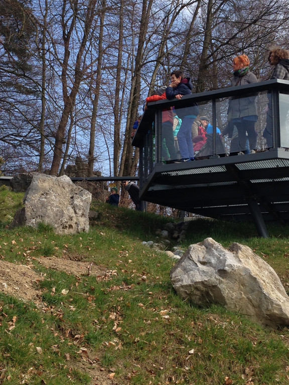 KOE_Wildpark Maerz 2016 7.jpg