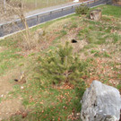 KOE_Wildpark Maerz 2016 8.jpg