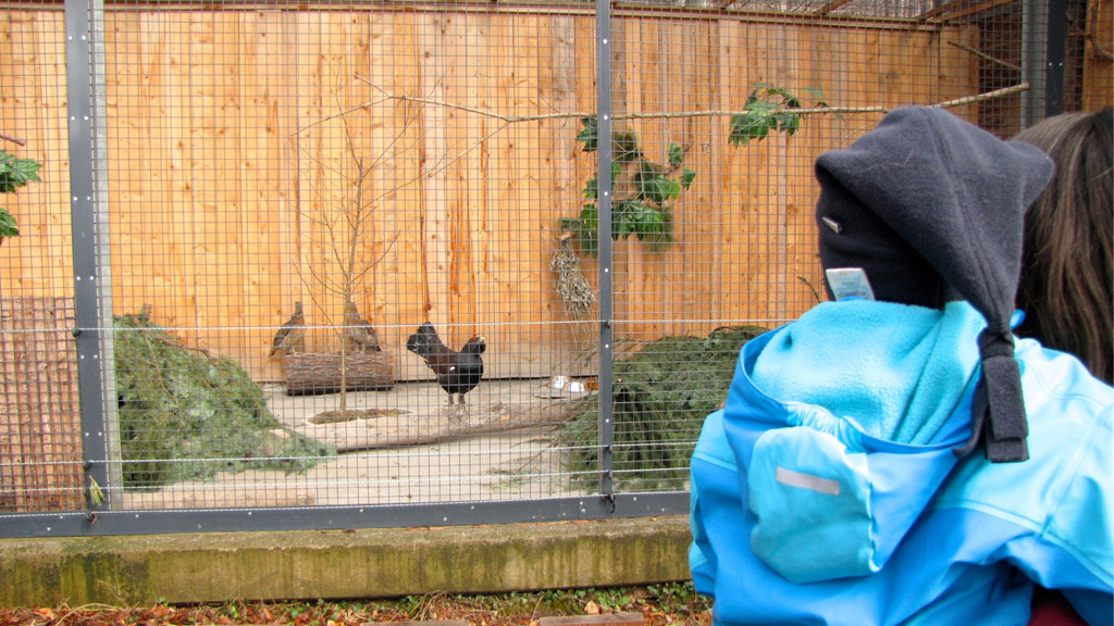 KOE_Wildpark Maerz 2016 13.jpg