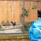 KOE_Wildpark Maerz 2016 13.jpg