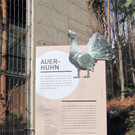 KOE_Wildpark Maerz 2016 16.jpg