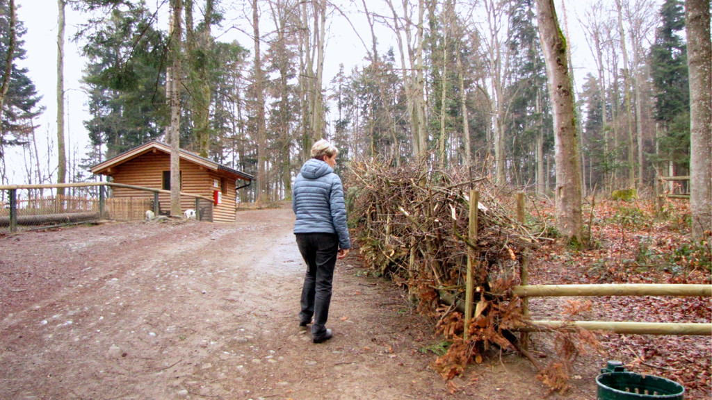 KOE_Wildpark Maerz 2016 35.jpg