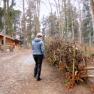 KOE_Wildpark Maerz 2016 35.jpg