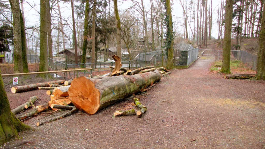 KOE_Wildpark Maerz 2016 36.jpg