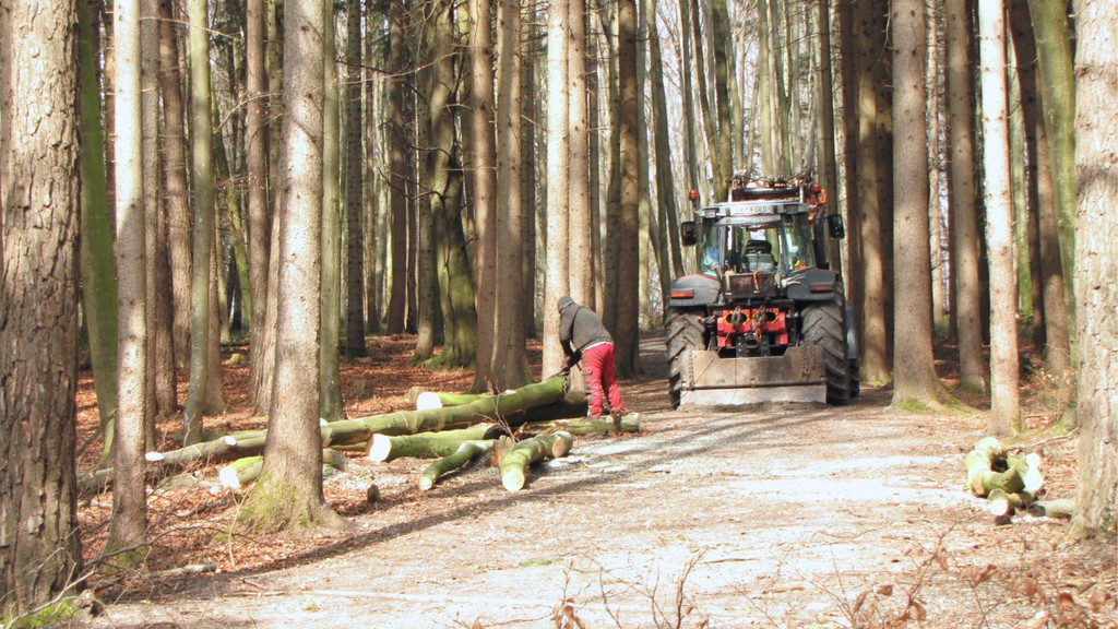 KOE_Wildpark Maerz 2016 43.jpg