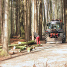 KOE_Wildpark Maerz 2016 43.jpg