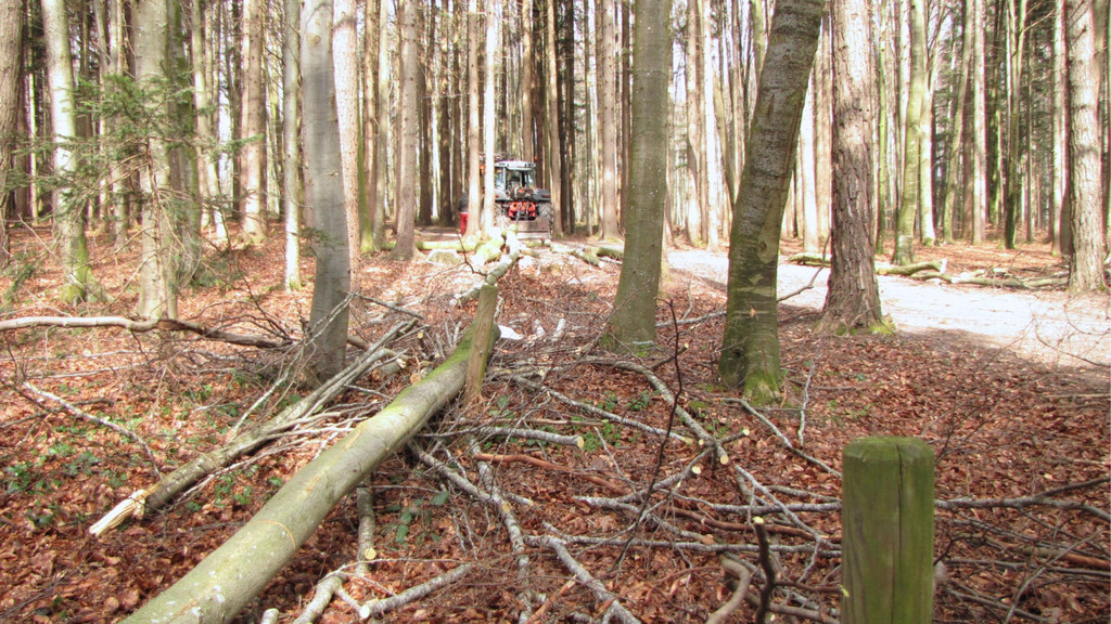 KOE_Wildpark Maerz 2016 44.jpg