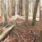 KOE_Wildpark Maerz 2016 44.jpg