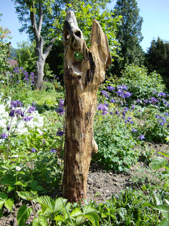 Bienen_3.JPG