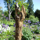 Bienen_3.JPG