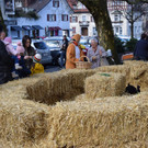 Frühlingserwachen beim Götzner Wochenmarkt