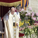 DV2228014.jpg