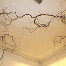 IMG_7554.jpg