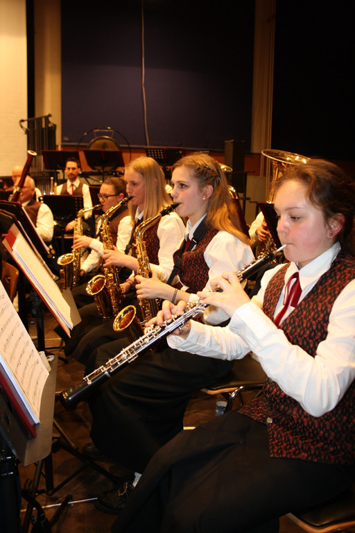 Musikverein Fr__hlingskonzert Symbolfotos von 2015 _17_.JPG