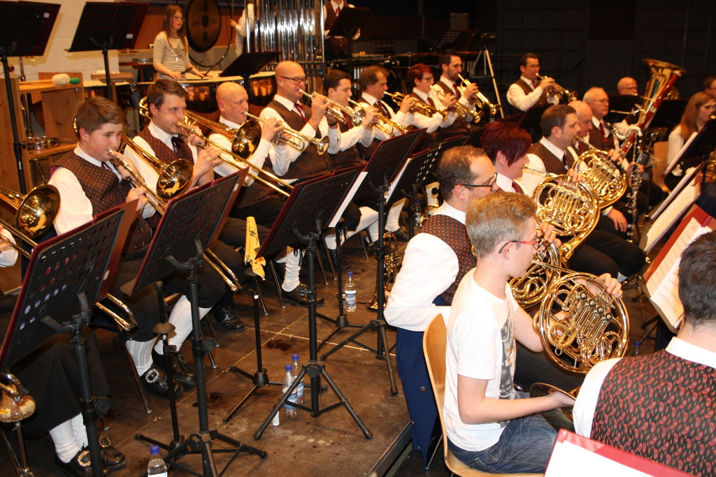 Musikverein Fr__hlingskonzert Symbolfotos von 2015 _15_.JPG