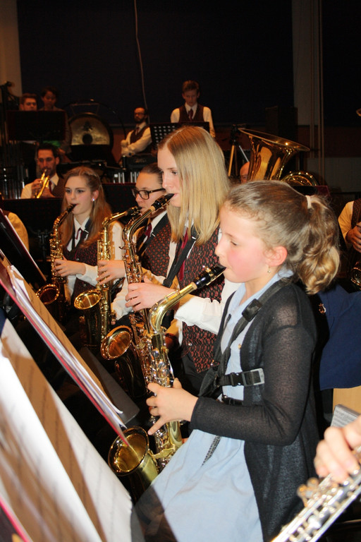 Musikverein Fr__hlingskonzert Symbolfotos von 2015 _14_.JPG