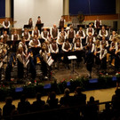 Musikverein Fr__hlingskonzert Symbolfotos von 2015 _3_.jpg