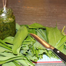 Veranstaltungen im Kräuterstübli