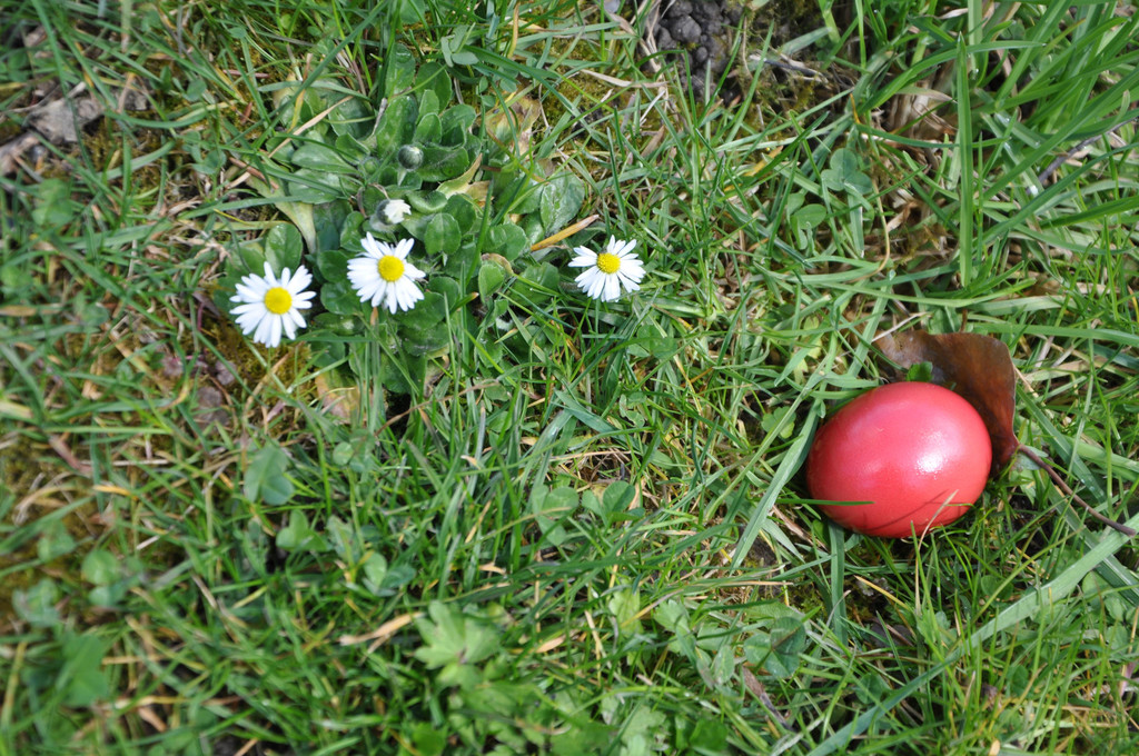 DSC_0017.JPG