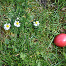 DSC_0017.JPG