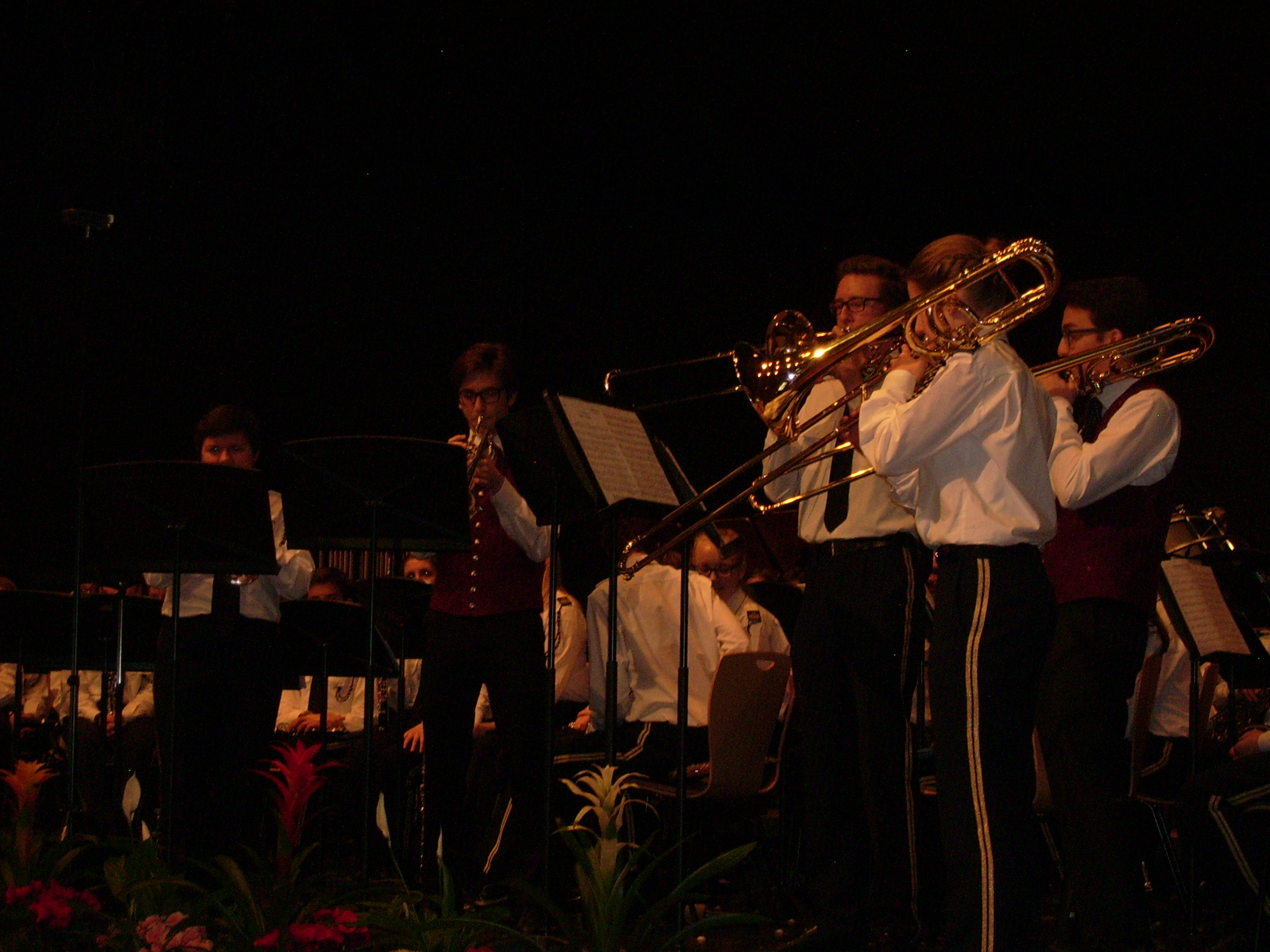 MV LUSTENAU OSTERFR 2016JD503380.JPG