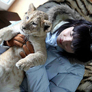 babyliger.jpg