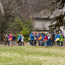 20160324_Raetschna_027.jpg