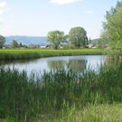 Sch__nungs--Teich.jpg