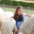 GutshofGerfried Tamerler.jpg