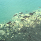 AFP_96049.jpg