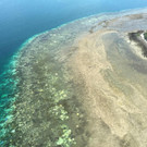 AFP_96047.jpg