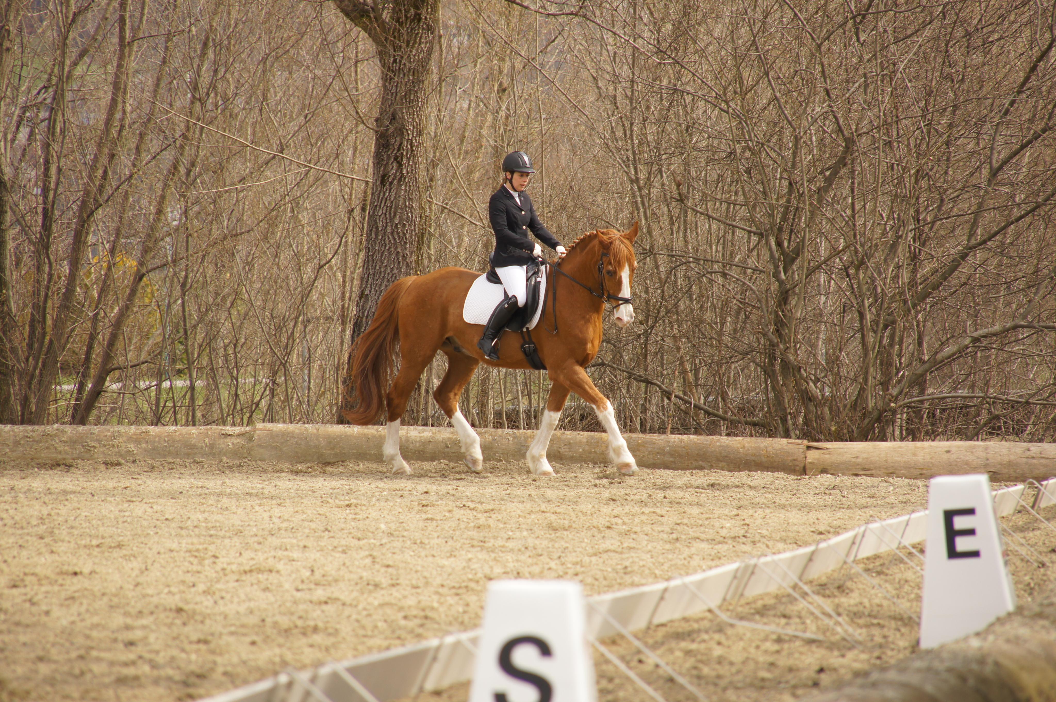 Nadine Dobler auf Sam.JPG