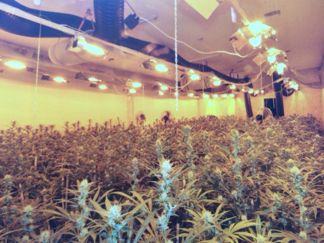 30_03_2016 - LKA N___ Foto 2.jpg