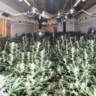 30_03_2016 - LKA N___ Foto 3.jpg