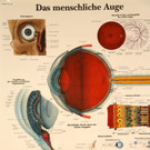 KOE_Augenarzt Markus Thaler 4.jpg