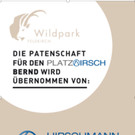 KOE_Wildpark Pate Hirschmann 2.jpg