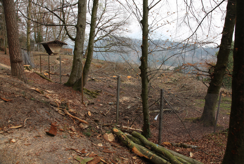 KOE_Wildpark Pate Hirschmann 7.jpg