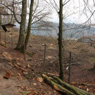 KOE_Wildpark Pate Hirschmann 7.jpg