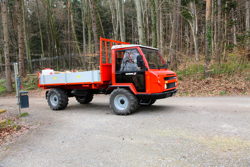 KOE_Wildpark Pate Hirschmann 9.jpg