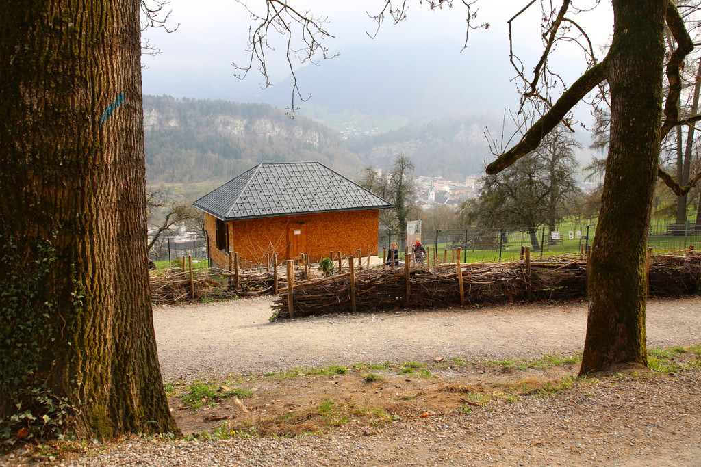 KOE_Wildpark Pate Hirschmann 14.jpg