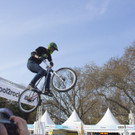 bike-7650.jpg