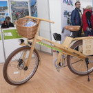bike-7847.jpg