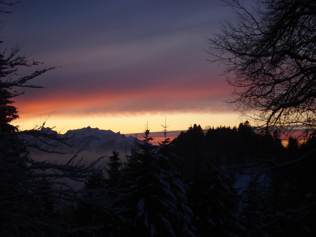 DSC02690.JPG