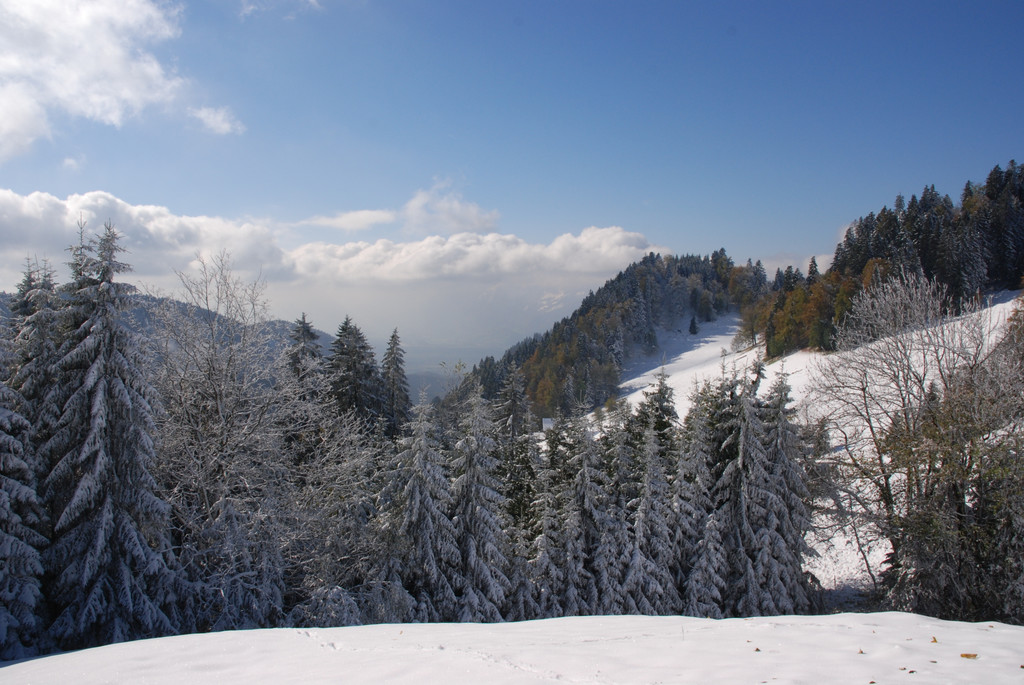 DSC_2969.JPG