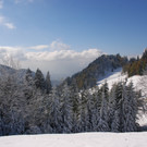 DSC_2969.JPG