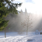 DSC_3159.JPG