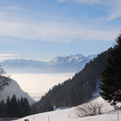 DSC_3165.JPG