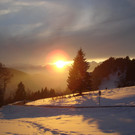 DSC02678.JPG