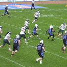 P1000285.jpg